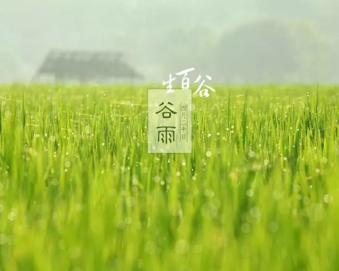 微信图片_20190423095219.jpg