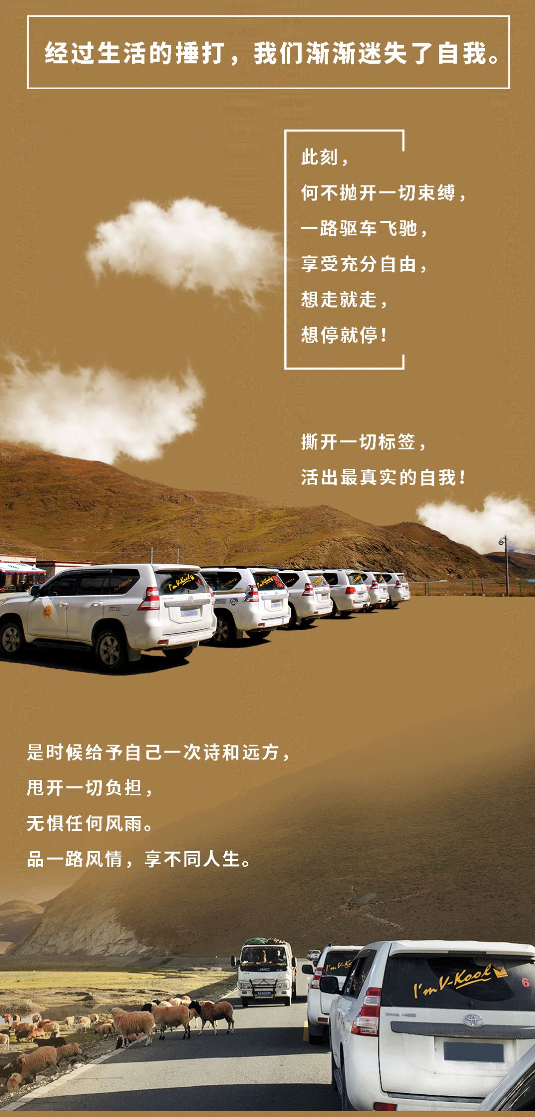 微信图片_20190625093212.jpg